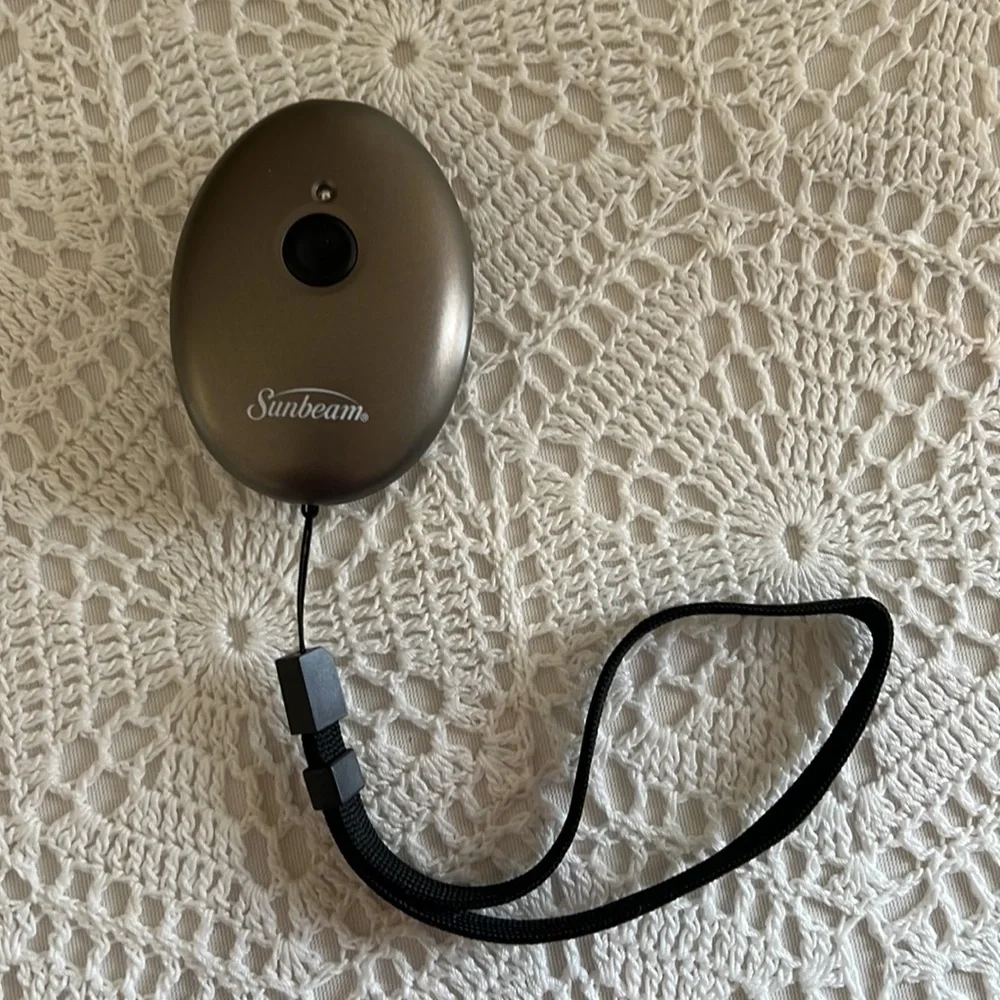 Sunbeam handheld pet